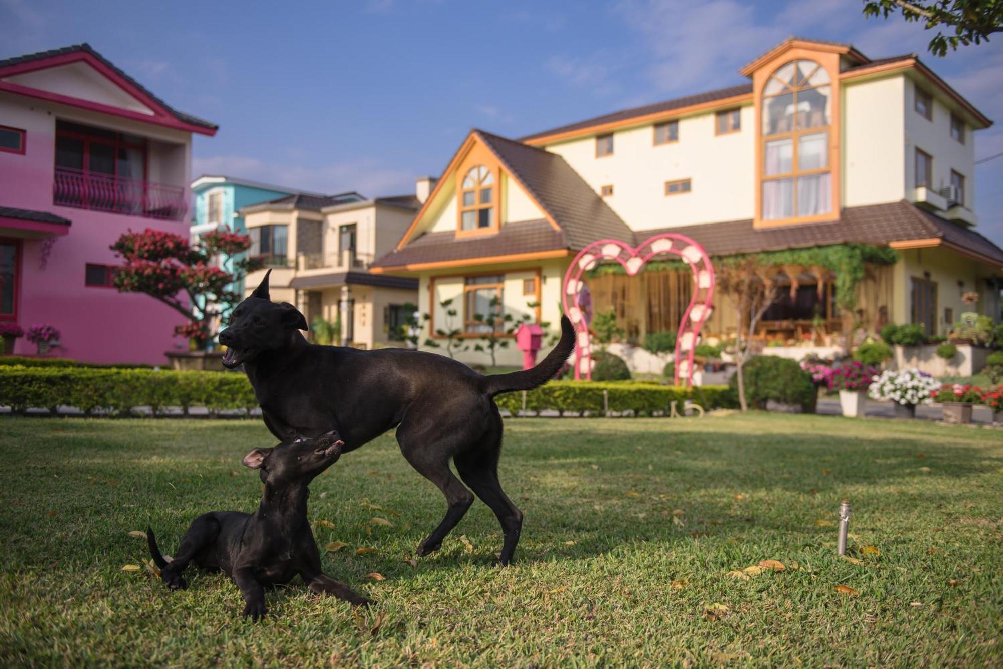 Xinfu Traveler Inn Taiping  Exterior photo