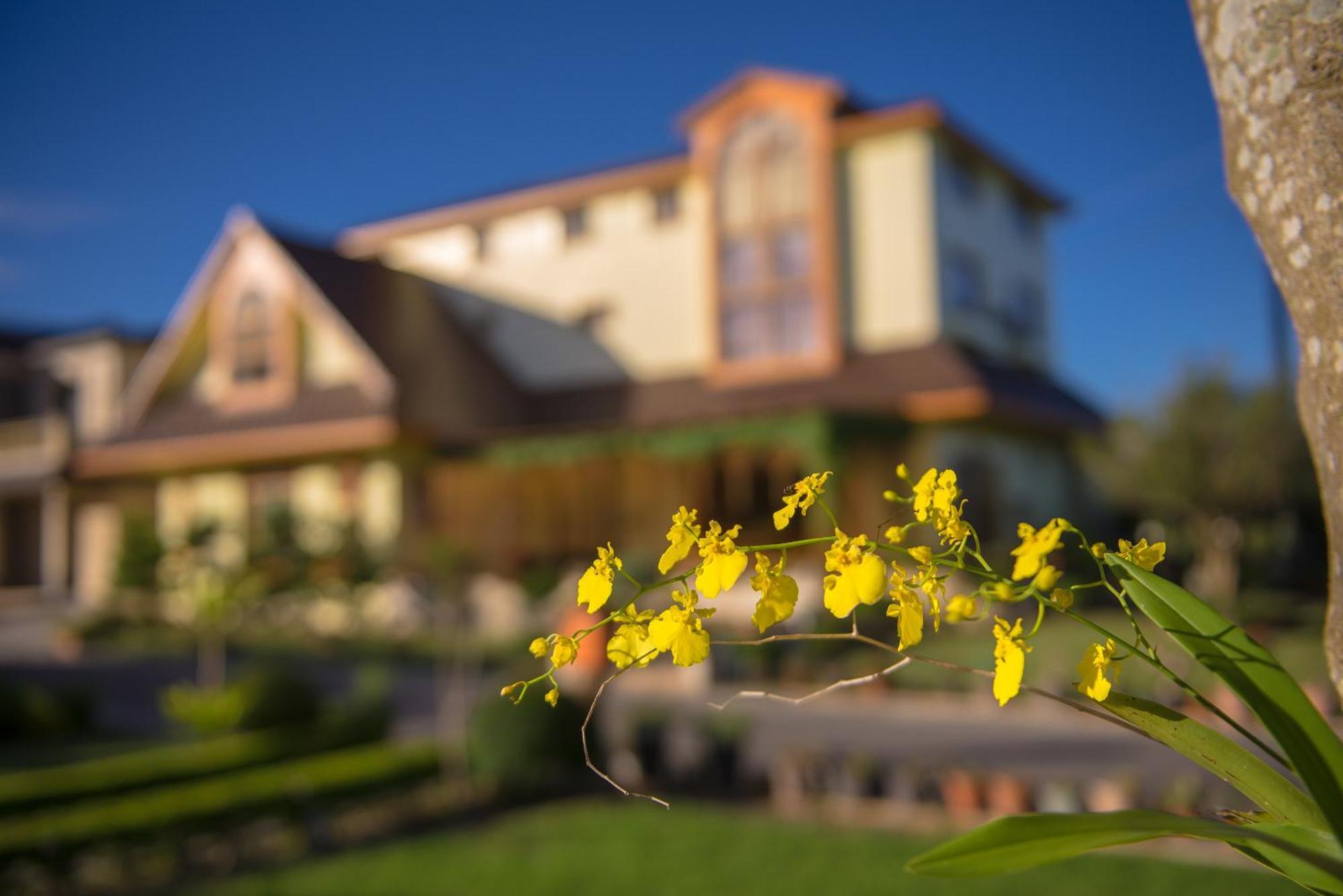 Xinfu Traveler Inn Taiping  Exterior photo