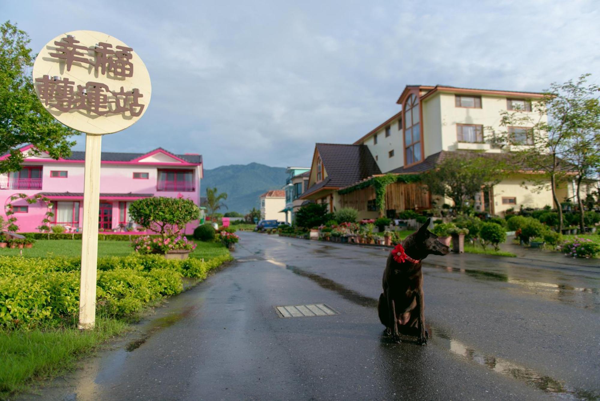 Xinfu Traveler Inn Taiping  Exterior photo