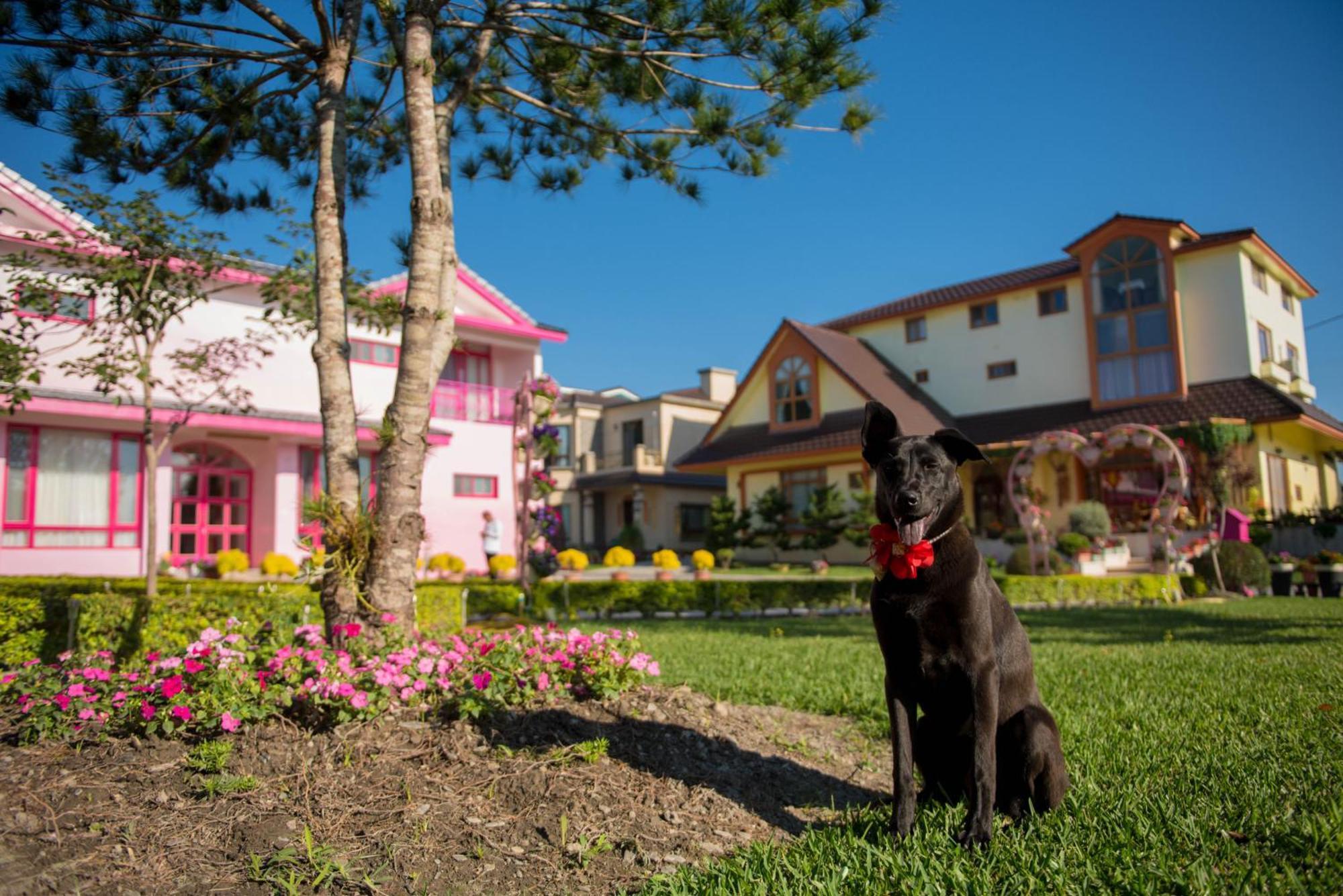 Xinfu Traveler Inn Taiping  Exterior photo